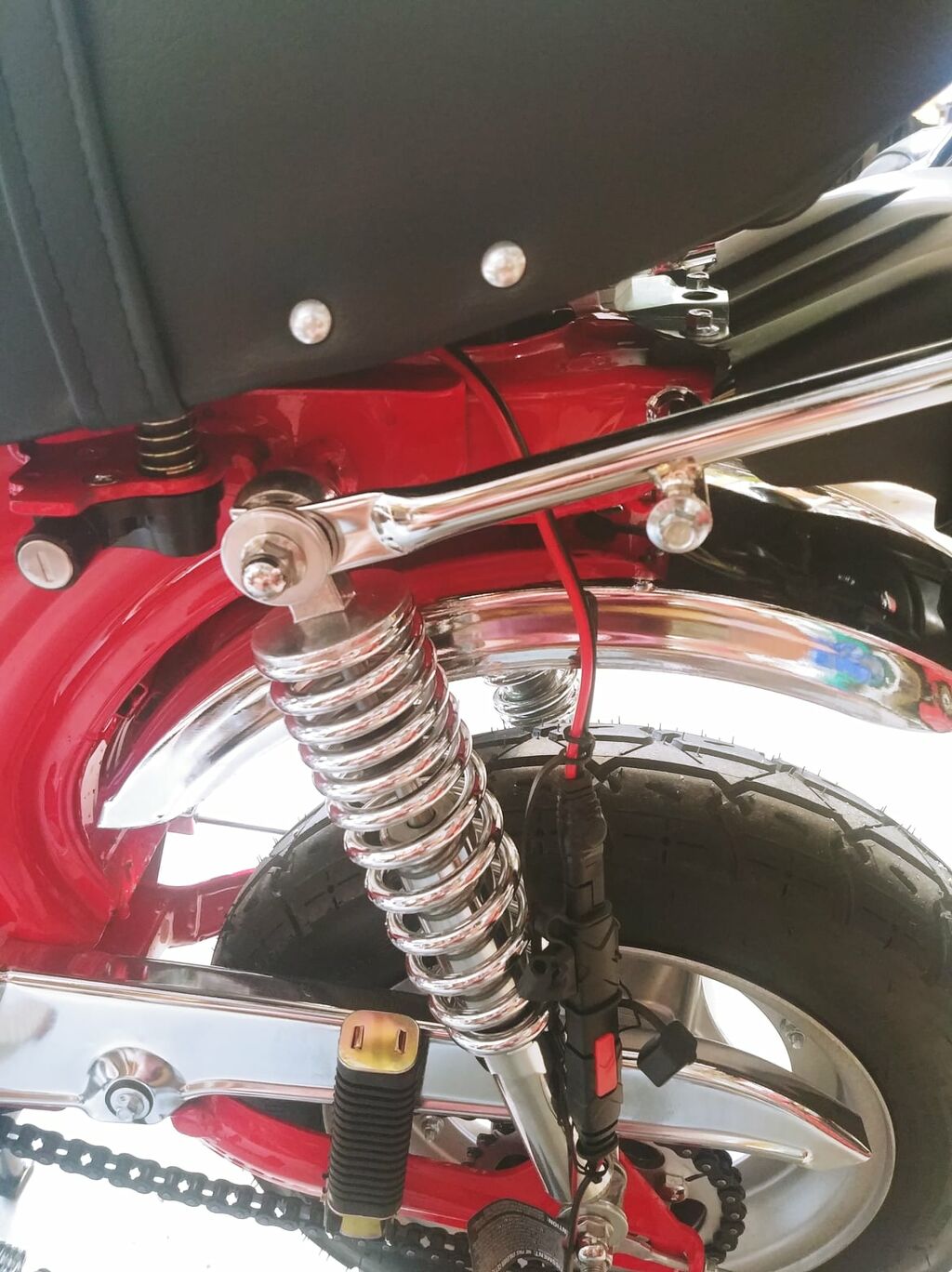 Champion SAE pigtail 3.jpg