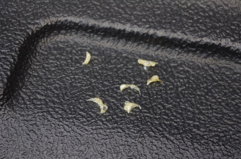 File:Strut Channel No Glue 2.jpg